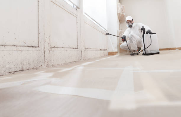 Post-remediation clearance in Wilsonville