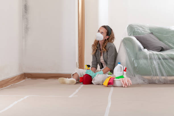 Mold Removal service in Wilsonville
